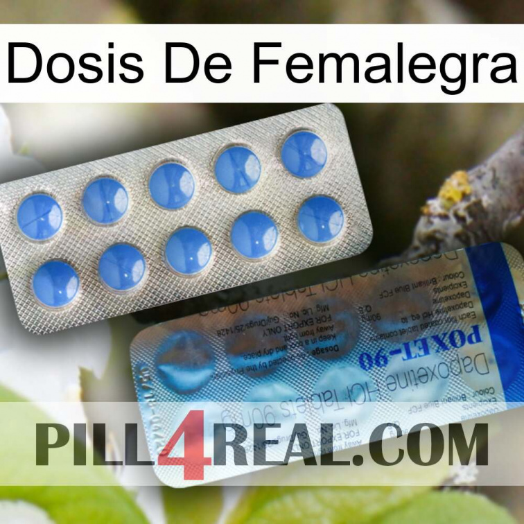 Femalegra Dosage 40